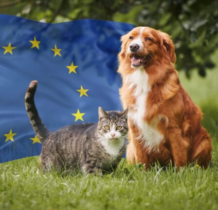 EU