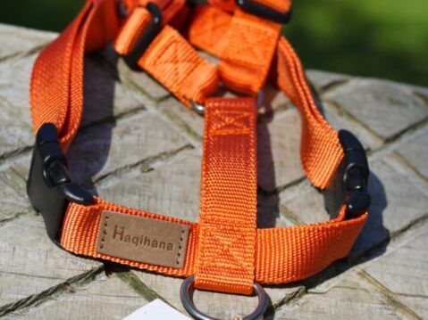 Orange_sele