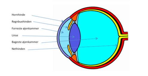 {{brizy_dc_image_alt imageSrc=