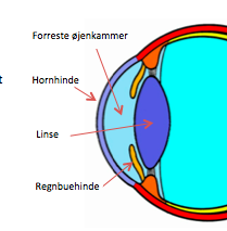 {{brizy_dc_image_alt imageSrc=